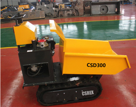 CSD300